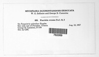 Image Associated With the Occurence